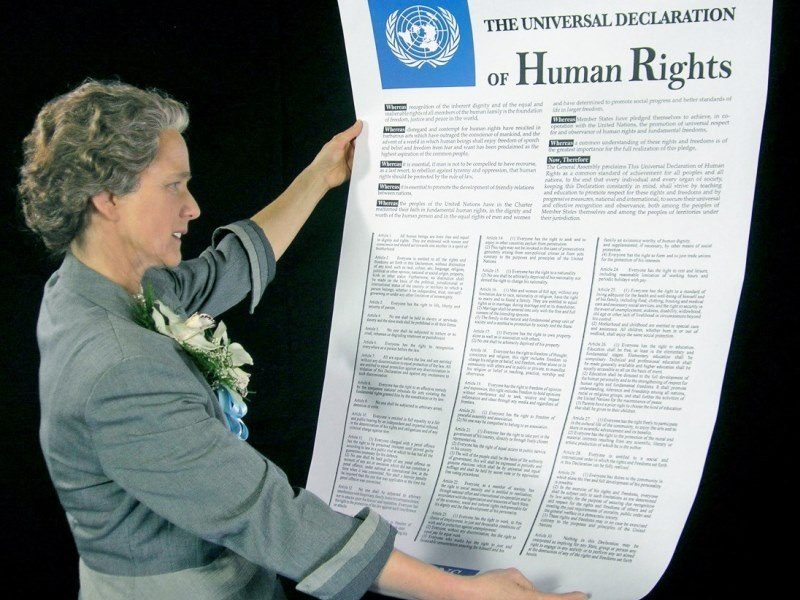 The International Bill of Human Rights